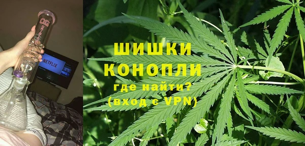 крисы Балахна