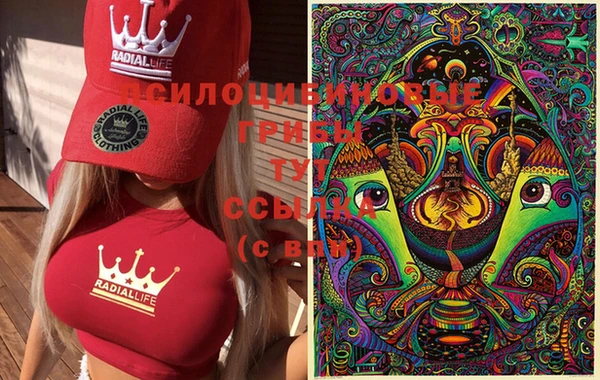 дмт Балабаново
