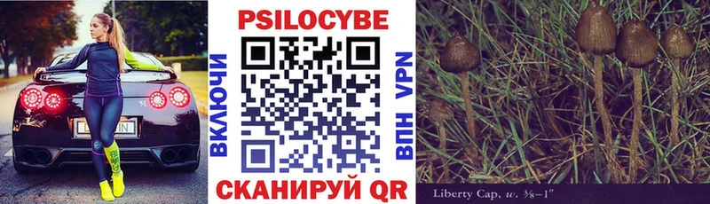 Галлюциногенные грибы Magic Shrooms  где купить   Мамоново 
